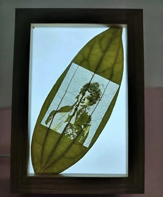 会员专属—民哥原创：日赚8千的叶雕相片创业项目课程-民哥轻创网