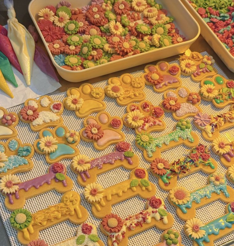 会员专属—民哥原创:越来越火的宠物零食加工售卖创业课程-民哥轻创网