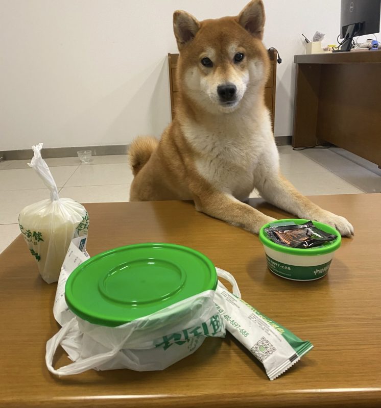 会员专属—民哥原创:符合趋势的宠物外卖项目创业课程-民哥轻创网