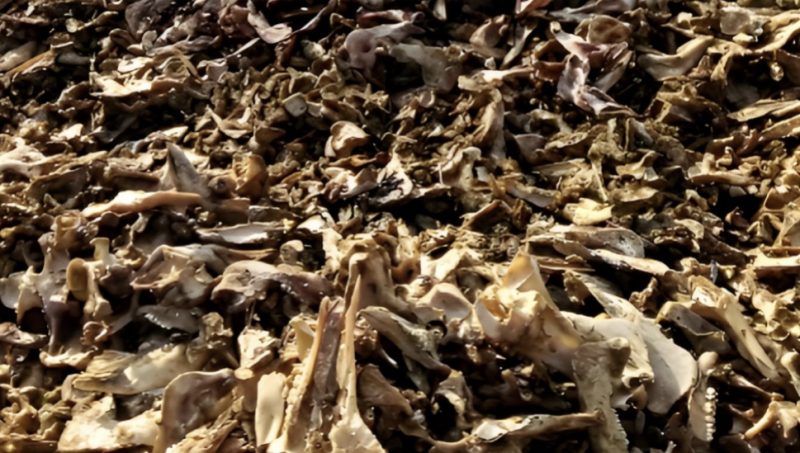 会员专属—民哥原创：年赚60万的骨粉加工项目课程-民哥轻创网