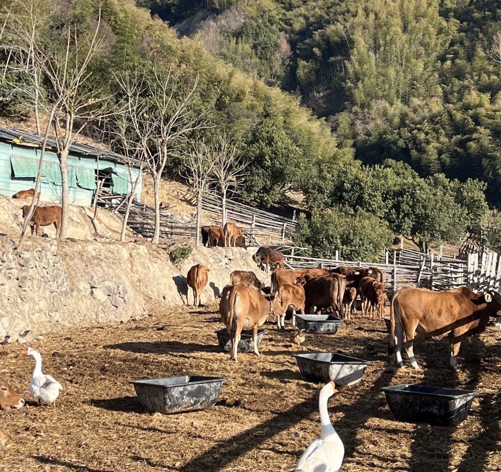 会员专属—民哥原创：乡村经济之体验式农场创业项目课程-民哥轻创网