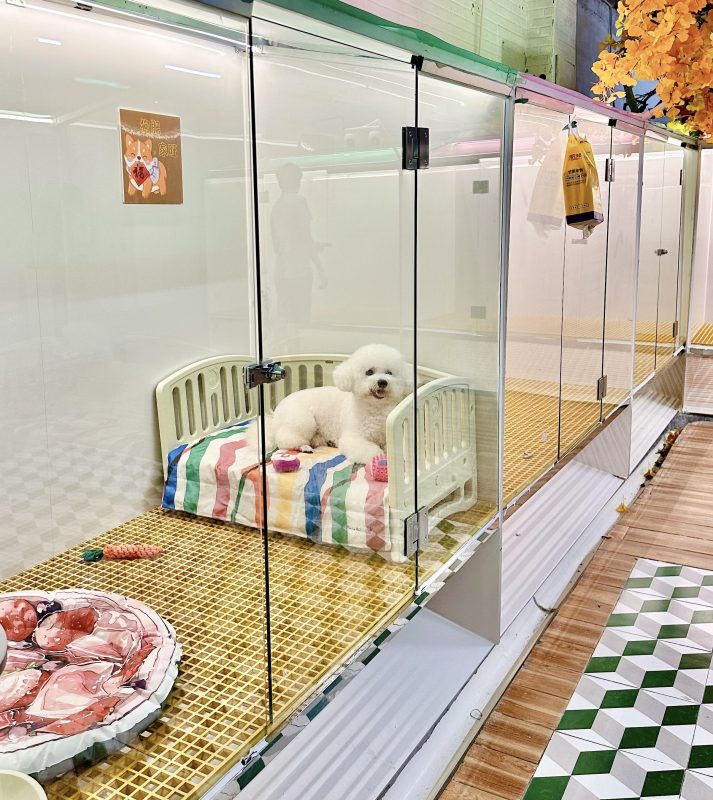 会员专属—民哥原创:暴利的宠物酒店创业实操课程-民哥轻创网