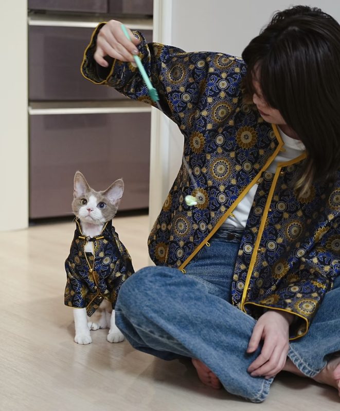 会员专属—民哥原创：宠物新中式亲子服装 创业课程-民哥轻创网