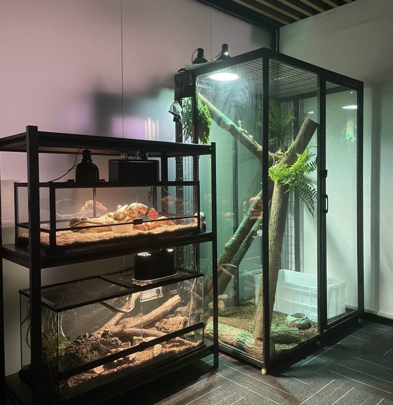 会员专属—民哥原创:冷门的异宠定制化饲养箱创业课程-民哥轻创网